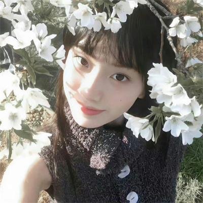 好莱坞高中